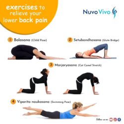 Exercises pain back spine stabilizing therapy physical reduce these stabilization help do physio relief lower stretches low injury points infographic